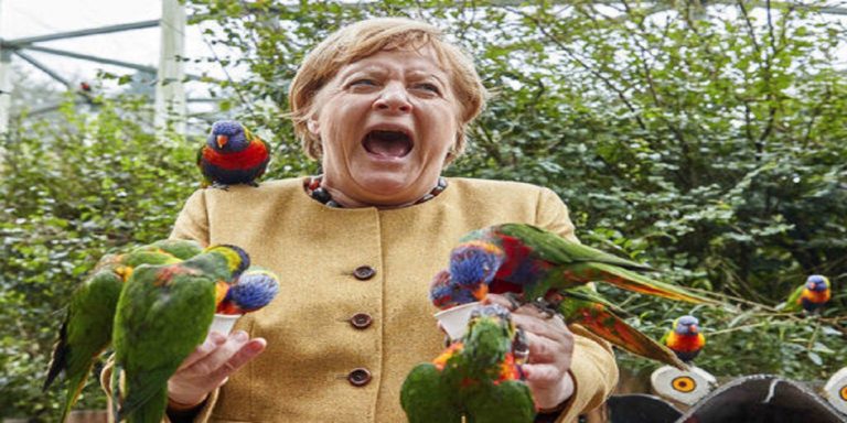 Angela Markel pecked by a dozen of parrots in bird park