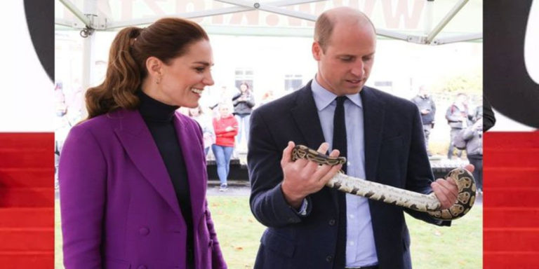 During a visit to the zoo Prince William plays with a snake