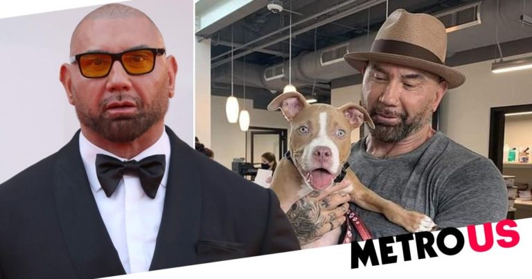 Dave Bautista adopts abused dog after offering $5k reward for justice