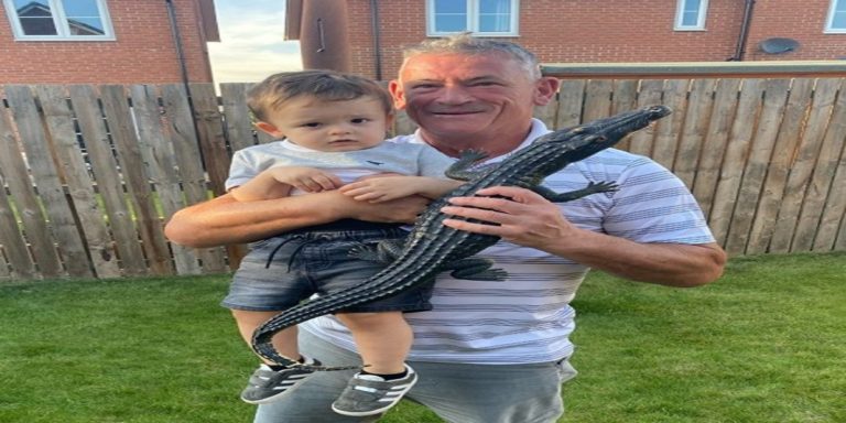 Bricklayer resolve the secret of Castleford Crocodile running in lawn