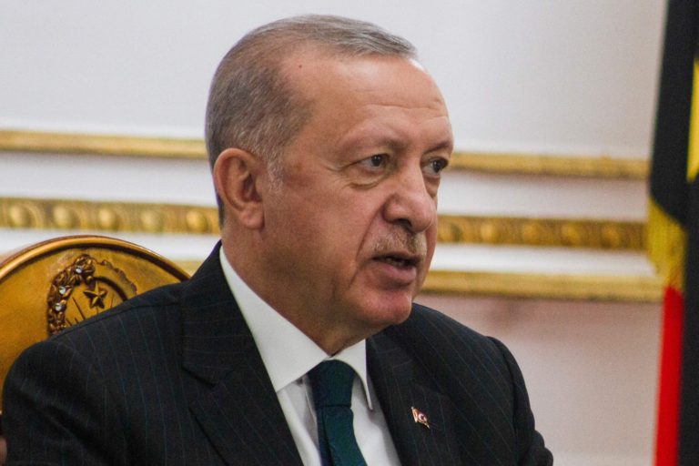 Envoys who backed Turkish activist to be made ‘non grata’: Erdogan