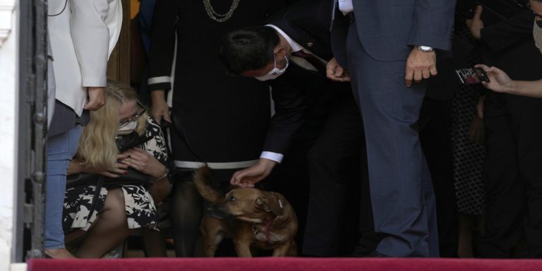 The Greek Prime Minister’s dog disrupts a press conference