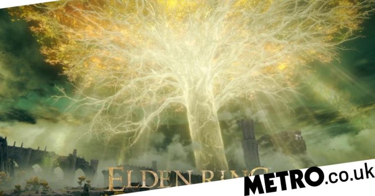 Elden Ring delayed but you can still play it in November