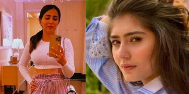 Ushna Shah and Dur-e-Fishan includes in an online banter, both are ‘Manipulative and strategic’