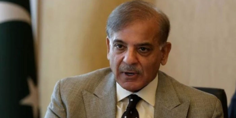 Shehbaz, Fazl decide to launch nationwide anti-Inflation protest campaign