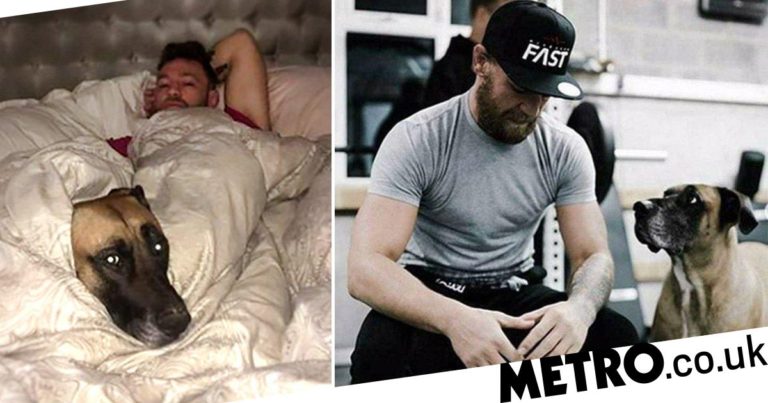 Conor McGregor heartbroken as beloved dog Hugo dies
