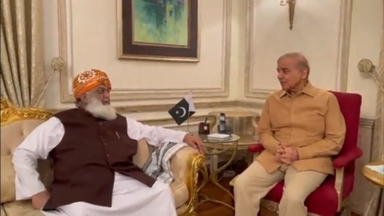 Maulana Fazlur Rehman, Shehbaz Sharif discuss strategies to revive PDM