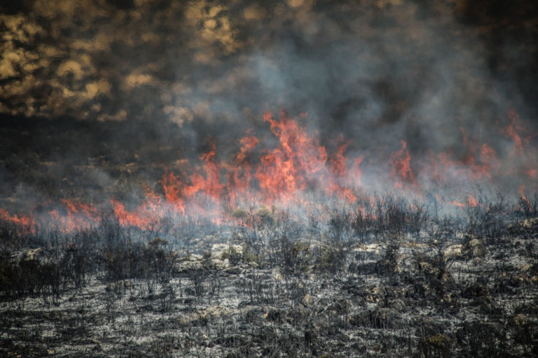 Syria says 24 executed over starting wildfires