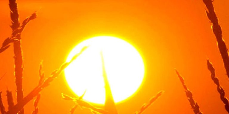 Asia suffered hottest year on record in 2020: UN