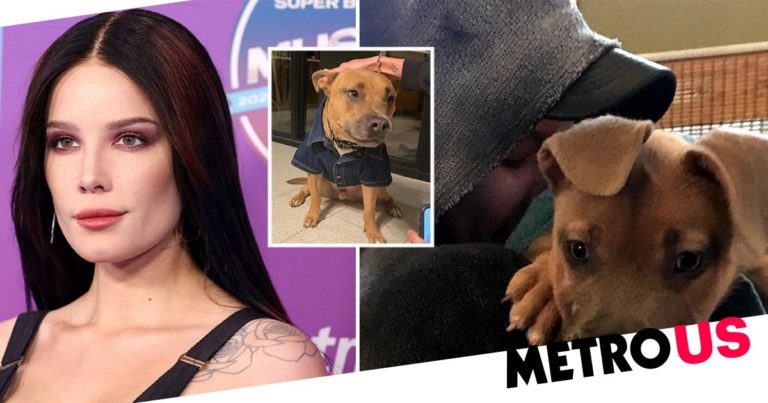 Halsey shares ‘worst week of their life’ following death of dog Jagger