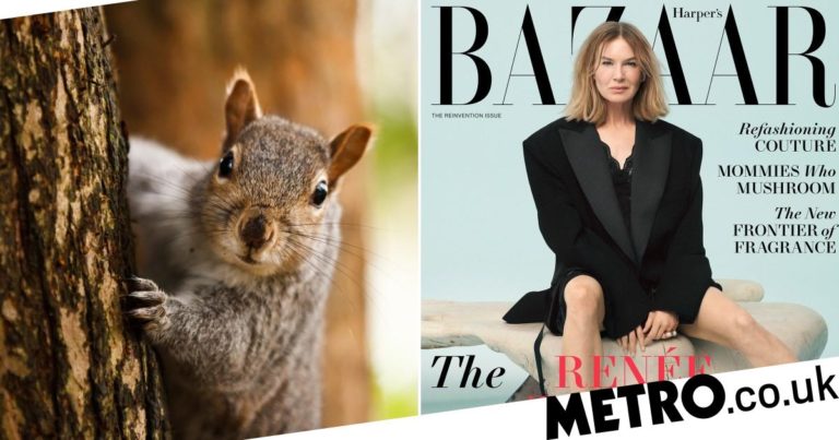 Renee Zellweger spent lockdown ‘at war’ with squirrels in her garden