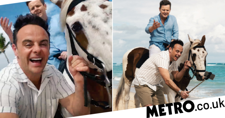 Ant and Dec pose for selfies with horse as they tease Takeaway return