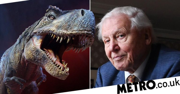 David Attenborough to explore lives of dinosaurs in epic new series