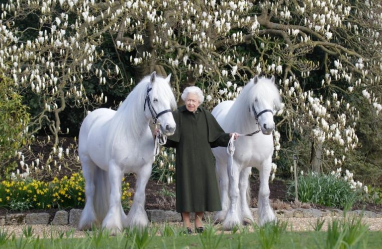 Does the Queen have a horse in the Epsom Derby and has she ever won?