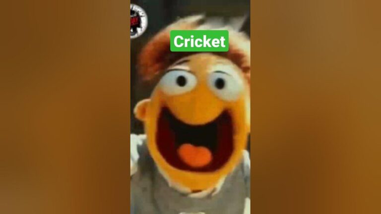 #cricket