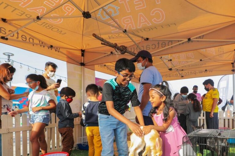 Pet Festival returns at Souk Al Marfa this weekend