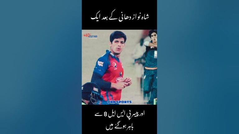 Shah Nawaz Dhani #cricket #psl2023 #pakistan #psl23 #ilt20 #psl #babarazam #shaheenafridi