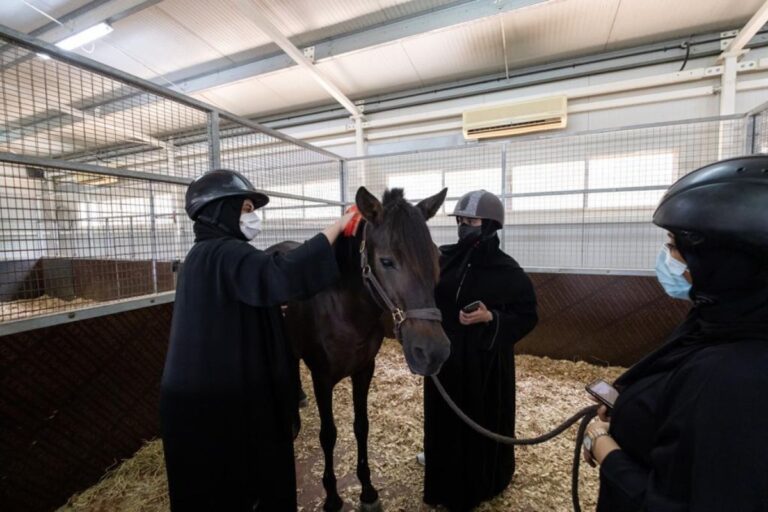 DFWC takes part in UAE Innovates 2023 with its animal-assisted psychotherapy programme