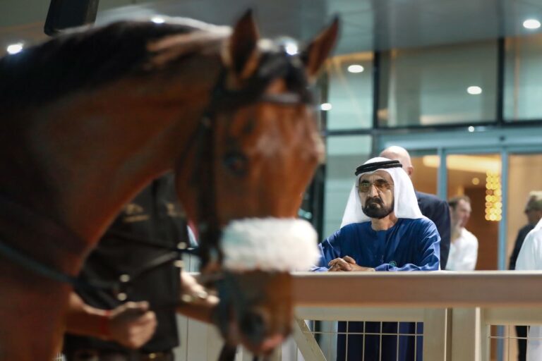 2nd Dubai Breeze-Up Sale gathers leading owners, buyers at Meydan Racecourse