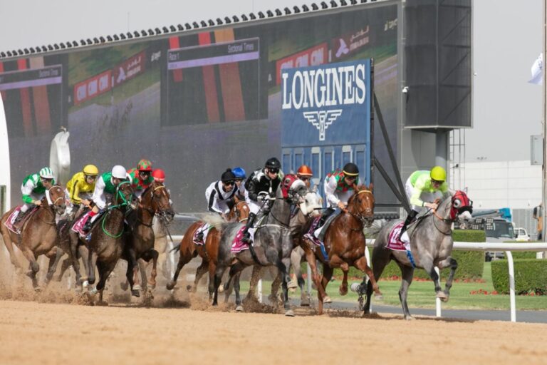 Dubai World Cup 2023 brings together 129 horses from 13 countries contesting for a prizemoney of US$30.5 million