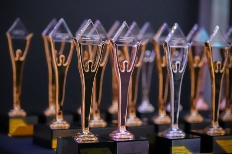 UAE Sets Record with 218 Prizes at 2024 Middle East & North Africa Stevie® Awards